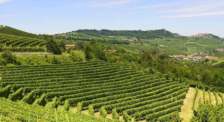 weinberge-deutschland